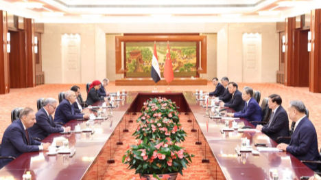 Le plus haut législateur et le plus haut conseiller politique de la Chine s'entretiennent séparément avec le président du Sénat égyptien