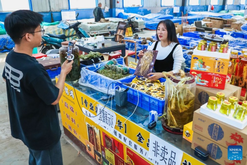 Jilin : la récolte du ginseng bat son plein à Fusong