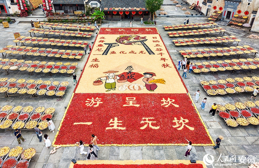 Anhui : le séchage des récoltes d'automne dans le vieux village de Chengkan bat son plein