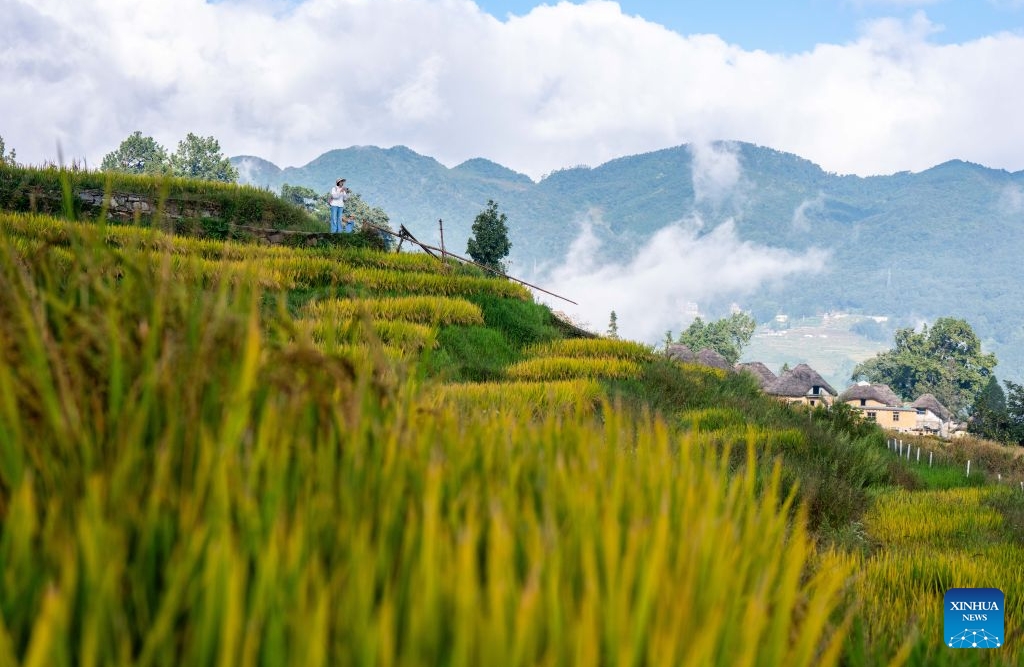Yunnan : à la découverte des rizières en terrasses des Hani à Yuanyang