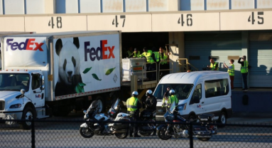 Deux pandas géants arrivent dans la ville américaine d'Atlanta