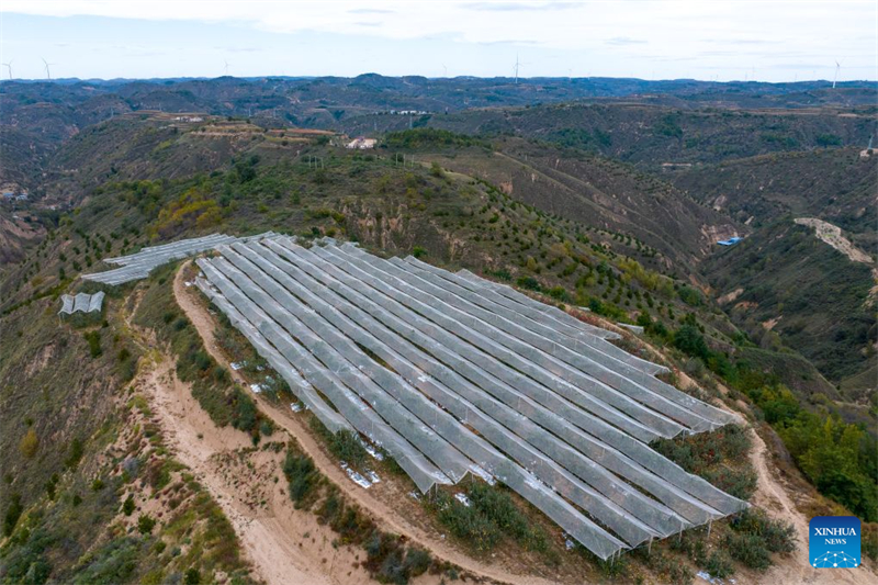 Shaanxi : haut lieu de la Longue Marche, le district de Wuqi connaît un développement écologique et industriel