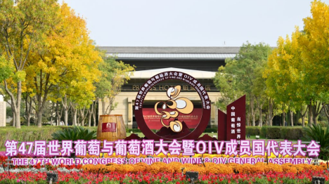 Chine : ouverture du Congrès mondial de la vigne et du vin au Ningxia