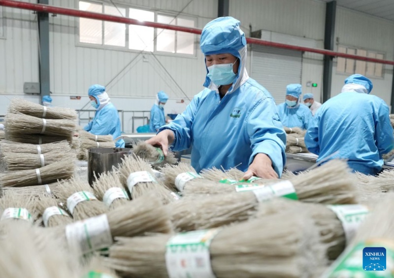 Hebei : le district de Lulong développe une filière industrielle de la patate douce