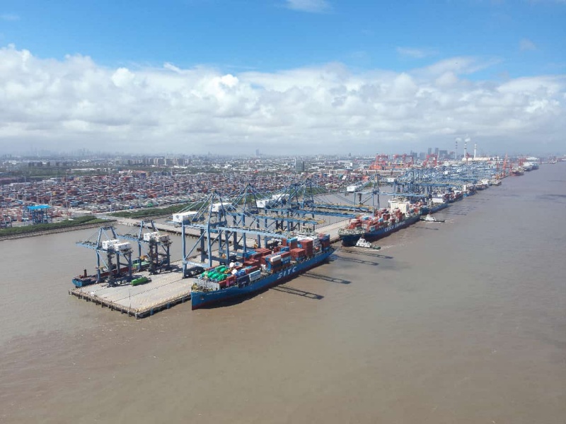 Plusieurs navires internationaux sont amarrés à un terminal du port de Waigaoqiao à Shanghai, le 29 août 2026. (Photo/Shen Chunchen) 