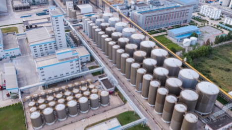 L'expansion continue vers le bas de la chaîne de valeur en Chine d'un géant mondial du négoce agricole vieux de 175 ans